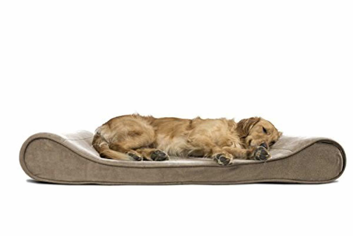 jumbo dog couch